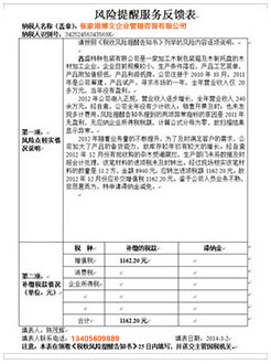 福建税务服务